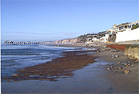 Beach at La Jolla Shores in the winter - beach is sandy but areas of cobbles are exposed.