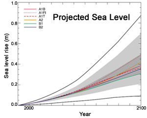 IPCC (2001) model-based sea level projections for the next century.